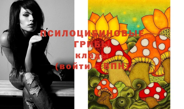 эйфоретик Бугульма
