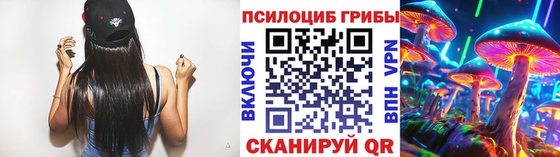 Псилоцибиновые грибы MAGIC MUSHROOMS  купить   Ивантеевка 